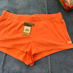 NORTH FACE shorts